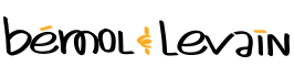 North Logo